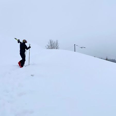 Gaehwindehof Mountain Ranch Resort 上施陶芬 外观 照片