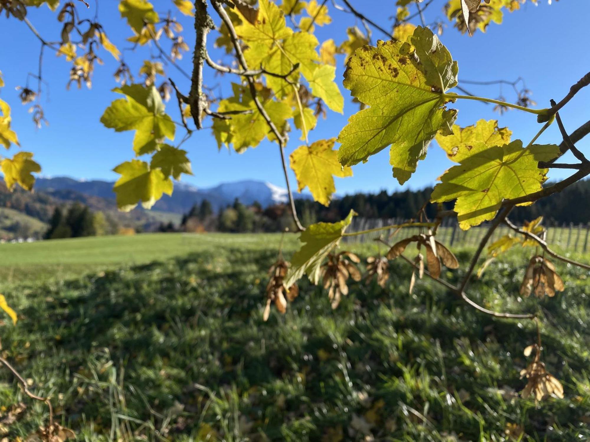 Gaehwindehof Mountain Ranch Resort 上施陶芬 外观 照片